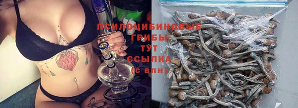 ПСИЛОЦИБИНОВЫЕ ГРИБЫ Абинск