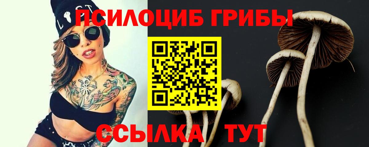 Партизанск  Псилоцибиновые грибы GOLDEN TEACHER  Вход с VPN 